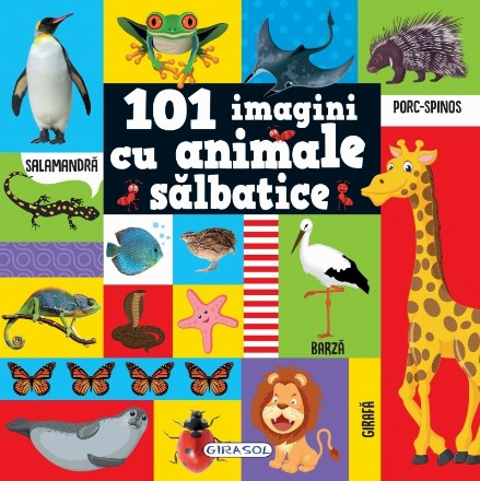 101 imagini cu animale salbatice