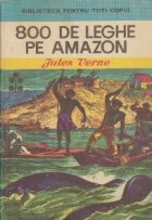 800 de leghe pe Amazon