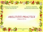 Abilitati practice auxiliar clasa III