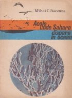 Acolo unde Sahara dispare in ocean