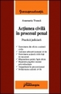 Actiunea civila in procesul penal - Practica judiciara