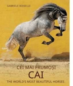 Album de arta - Cei mai frumosi cai. The world s most beautiful horses