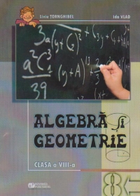 Algebra si geometrie (clasa a VIII-a) : Culegere de exercitii si probleme