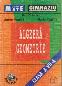 Algebra. Geometrie. Clasa a VII-a. Partea I