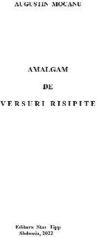 Amalgan versuri risipite