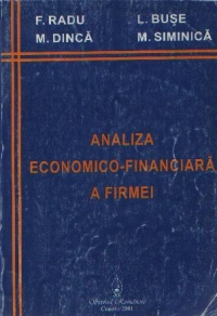 Analiza economico-financiara a firmei