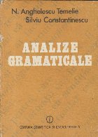 Analize gramaticale