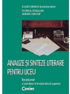 Analize sinteze literare pentru liceu