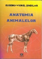 Anatomia animalelor