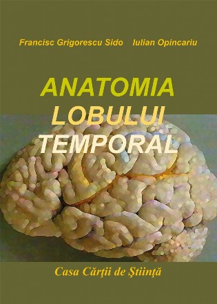 Anatomia lobului temporal