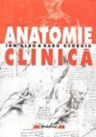 ANATOMIE CLINICA