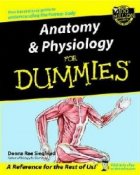 Anatomy and Physiology For Dummies