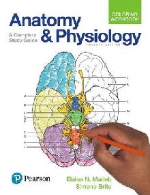 Anatomy and Physiology Coloring Workbook