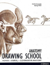 ANATOMY, DRAWING SCHOOL* HUMAN* ANIMAL* COMPARATIV