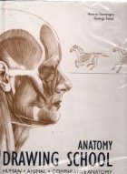 Anatomy Drawing School