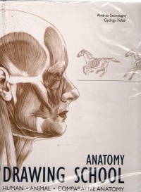 Anatomy Drawing School