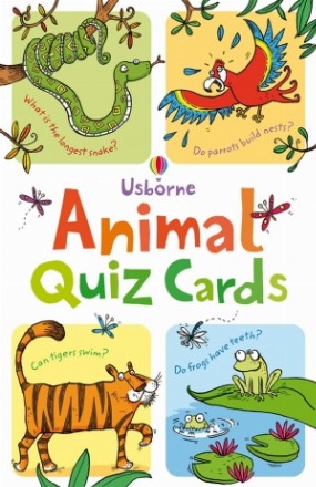 Animal quiz cards