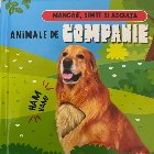 Animale companie mângâie simte şi