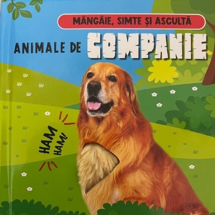 Animale de companie : mângâie, simte şi ascultă