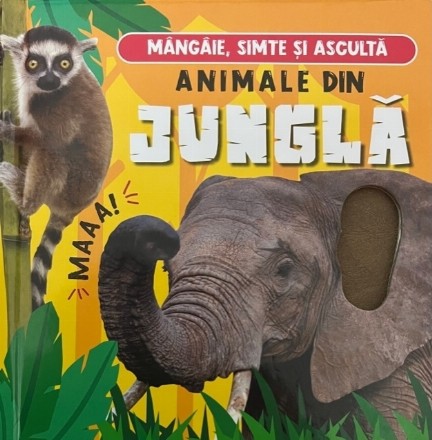 Animale din junglă : mângâie, simte şi ascultă