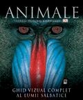 Animale. Ghid vizual complet al lumii salbatice