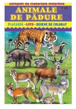 Animale de padure. Placarda, loto, desene de colorat﻿﻿