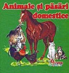 Animale pasari domestice pliant cartonat