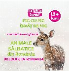 Animale sălbatice din România română