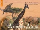 Animalele Africii Portrete natura