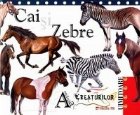 Antologia creaturilor uimitoare Cai Zebre