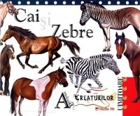 Antologia creaturilor uimitoare. Cai si Zebre