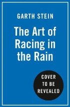 Art Racing the Rain