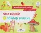 Arte vizuale abilitati practice Caietul