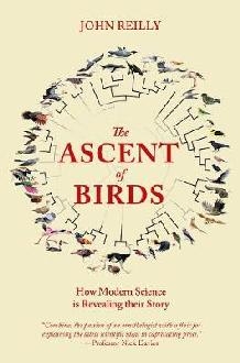 Ascent of Birds