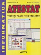 Atestat - Teste si probleme rezolvate