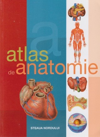 Atlas de Anatomie