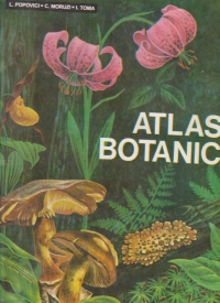 Atlas botanic