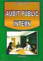 Audit public intern