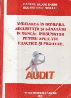 Auditarea domeniul securitatii sanatatii munca