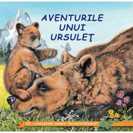 Aventurile unui Ursulet﻿