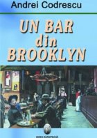 bar din Brooklin