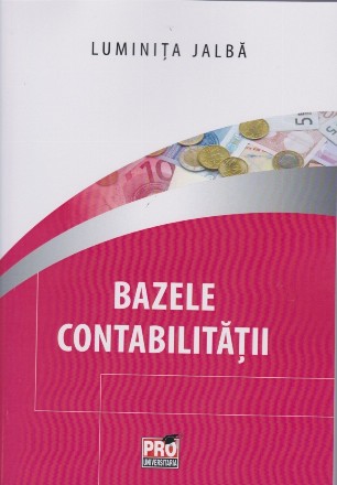 Bazele contabilitatii