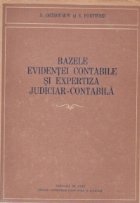 Bazele evidentei contabile expertiza judiciar