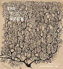 Beautiful Brain: The Drawings of Ramon y Cajal