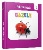 Bebe cunoaste: Gazele