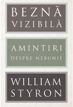 Beznă vizibilă. Amintiri despre nebunie