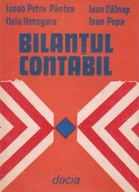 Bilantul contabil