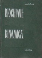 Biochimie dinamica