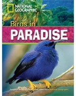 Birds In Paradise + DVD