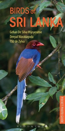 Birds of Sri Lanka